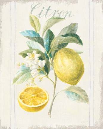 Framed Floursack Lemon IV v2 Print