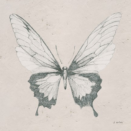 Framed Soft Summer Sketches V Print