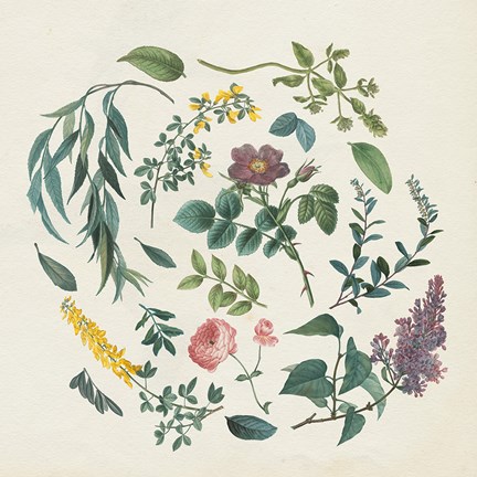 Framed Victorian Garden I Print