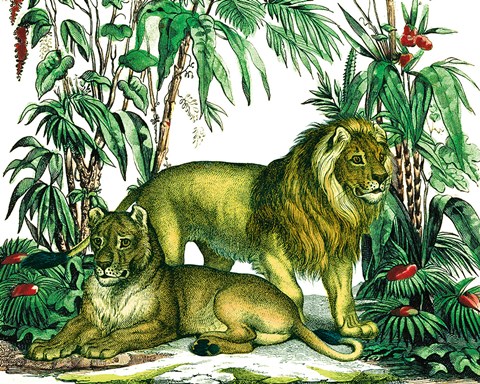 Framed Jungle Flair VI Print