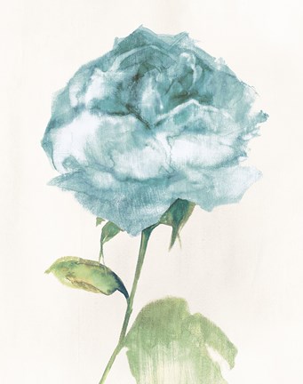 Framed Antique Floral on Cream II Blue Print