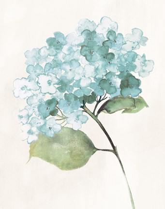 Framed Antique Floral on Cream I Blue Print