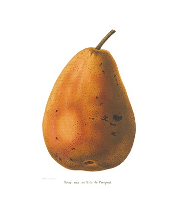 Framed Pierpont on White Print