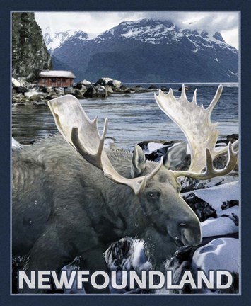 Framed New Foundland Print