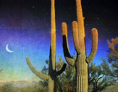 Framed Saguaro Scape Print