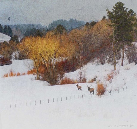 Framed Snowy Creek Elk Print