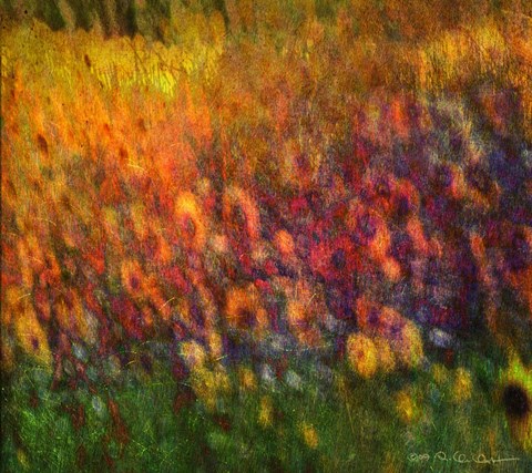 Framed Sunflowers Print