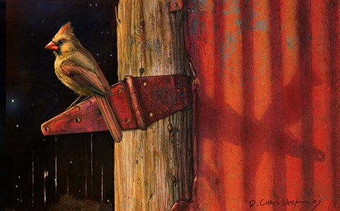 Framed Cardinal Print