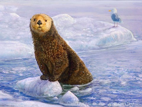 Framed Otter Sketch Print