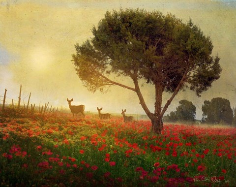 Framed Trees Poppies Deer Print