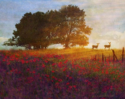 Framed Trees Poppies Deer 2 Print
