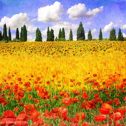 Framed Lombardy Print