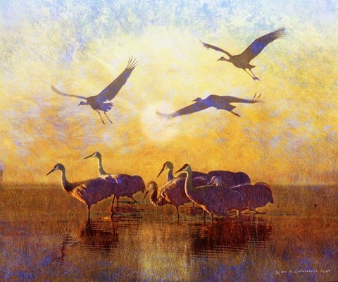 Framed Sunrise Cranes Print