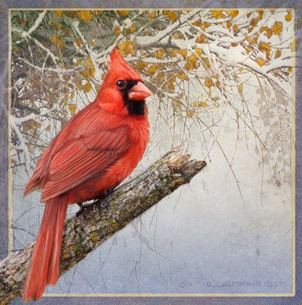 Framed Cardinal Snow Print