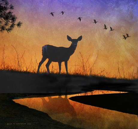 Framed Deer Silhouette Print