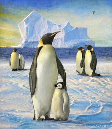 Framed Penguins Print