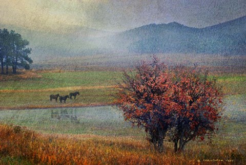 Framed Horses And Lone Oak Print
