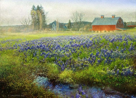 Framed Blue Bonnet Barn Print
