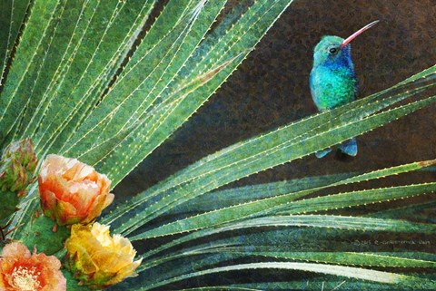 Framed Eye On The Prize Hummer Print