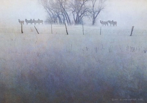 Framed Fence Line Elk Print