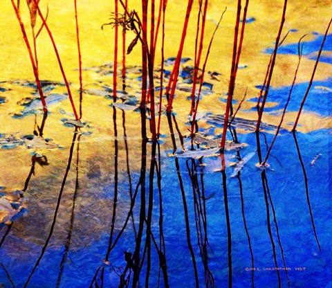 Framed Water Series Print