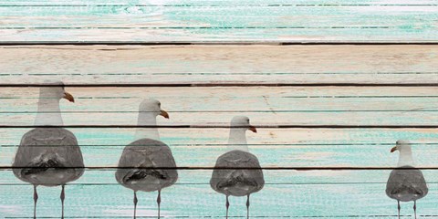 Framed Seagulls Print