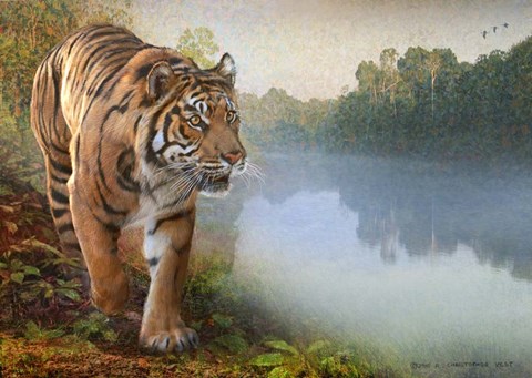 Framed Tiger Along the River Print