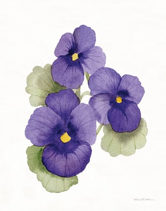 Framed Easter Blessing Flower IX Print