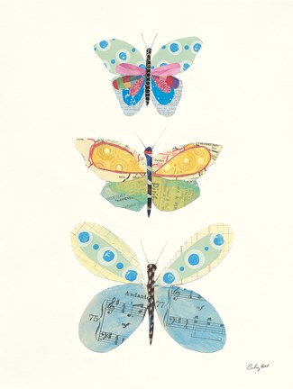 Framed Butterfly Charts IV Print