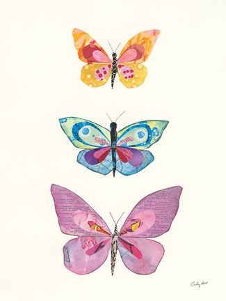 Framed Butterfly Charts III Print