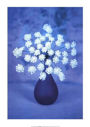 Framed Lace Flowers Print