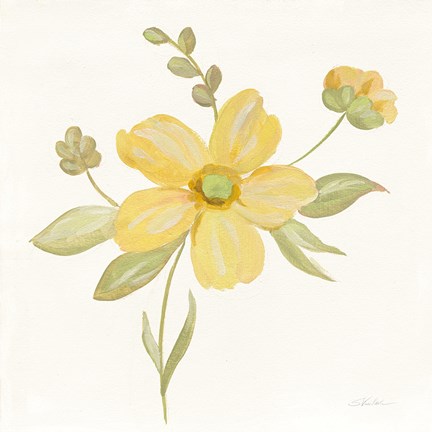 Framed June Bloom II Print