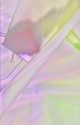 Framed Dashing Print