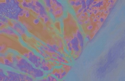 Framed Evening Soak Print