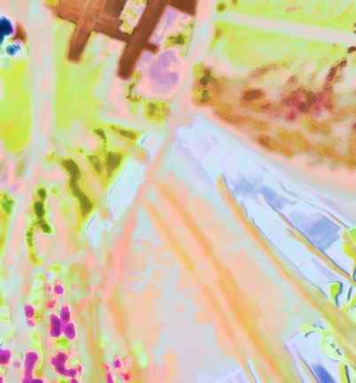 Framed Marble Pigs Print