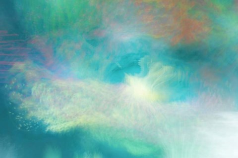 Framed Daisy Chain Print