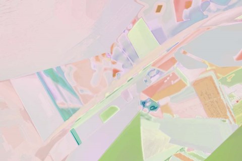 Framed Acacia 1 Print