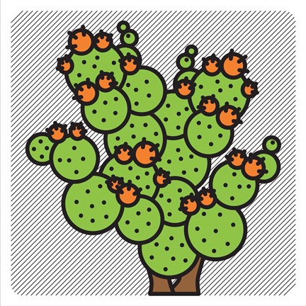 Framed Ficodindia Print