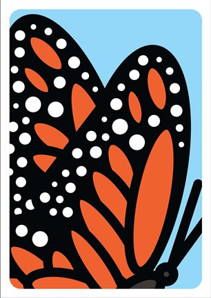 Framed Farfalla Print