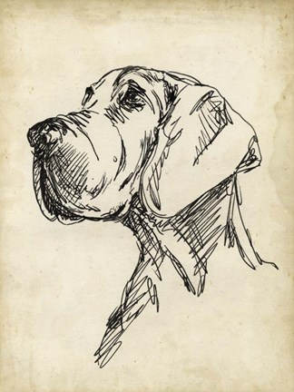 Framed Breed Studies VI Print