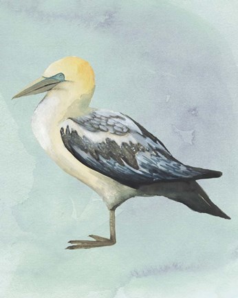 Framed Watercolor Beach Bird III Print