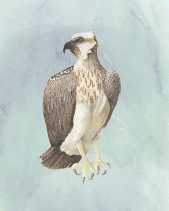 Framed Watercolor Beach Bird IV Print