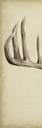 Framed Triptych Whitetail I Print