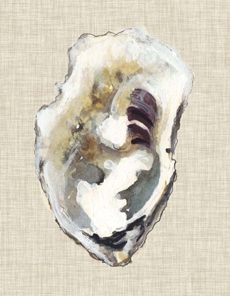 Framed Oyster Shell Study I Print