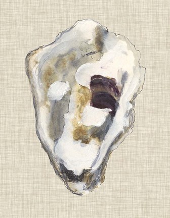 Framed Oyster Shell Study II Print