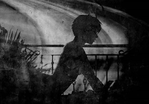 Framed Renewable Print