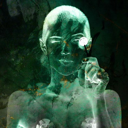 Framed Zanzi A Print