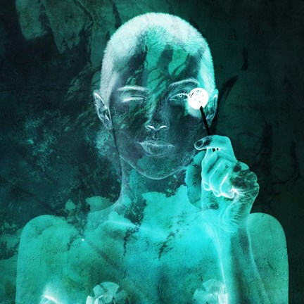 Framed Zanzi B Print