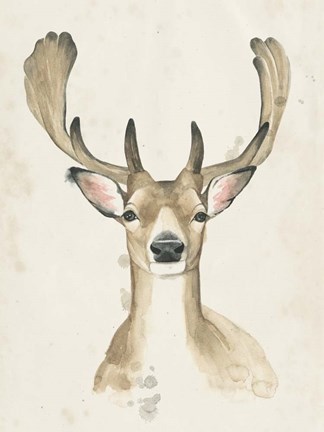 Framed Watchful Woods III Print