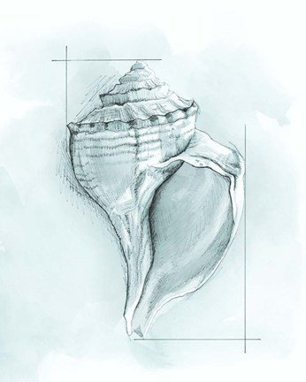 Framed Coastal Shell Schematic I Print